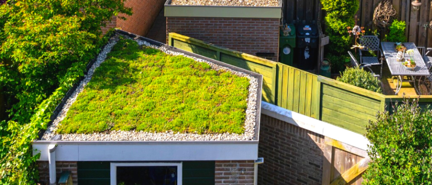 Sedum op je dak: Wat zijn de voor- en nadelen?