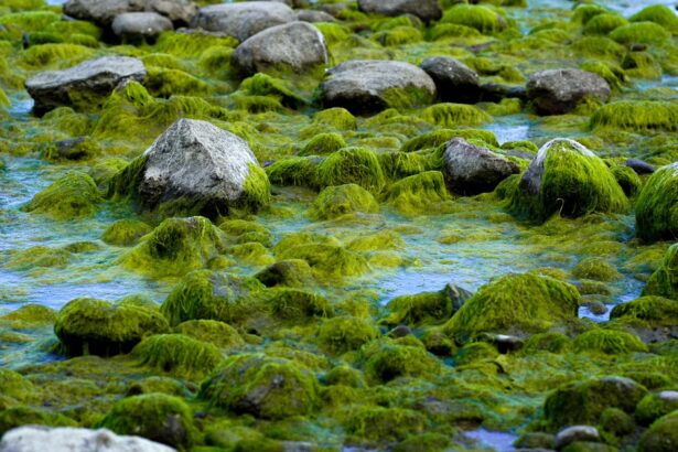 Zo krijg je snel groene aanslag weg: makkelijke manieren voor een fris resultaat
