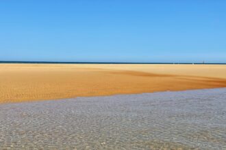 Nivo: Schoonmaken en drukwerk in Noord-Nederland en Volendam